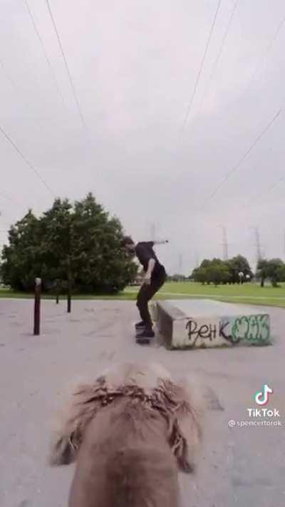 praise the camera dog: it never loses sight of his human and strives to do a good job, good boy