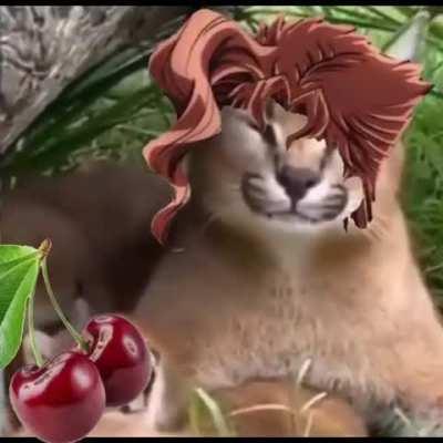 More memes at @JoJokes on yt