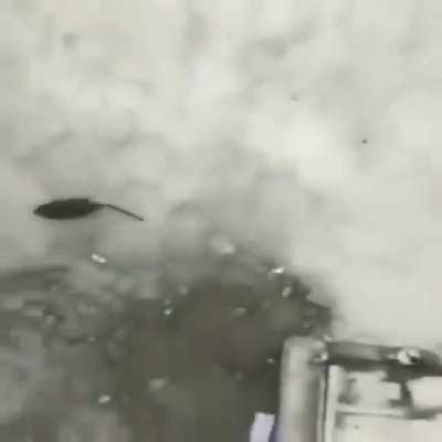 When I find a Barrel