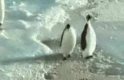 Linux eltism in a nutshell.