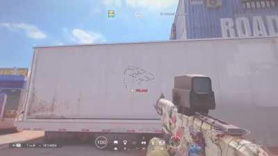 RIP IceyCat25 [Made: Dec. 15]