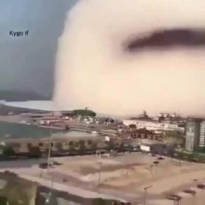 Evidence of what really happened in Beirut