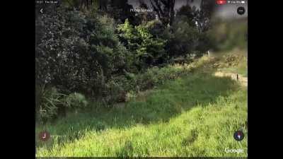 Bruh, i found Pewdiepies’ legs