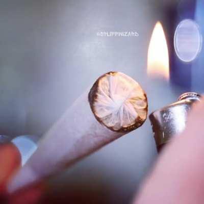 This is means Good Morning in every language ✌️📷 @spliffwizard  