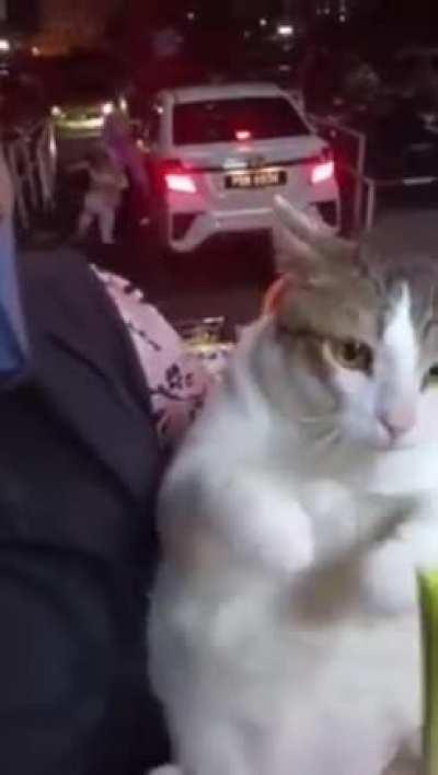 Let that big baby cat have his snack