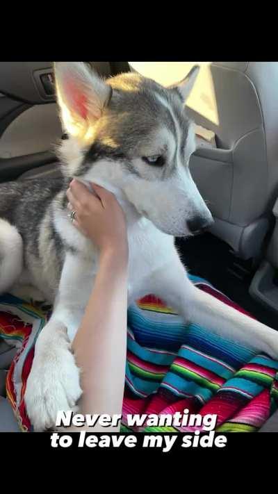 They're best buddies now