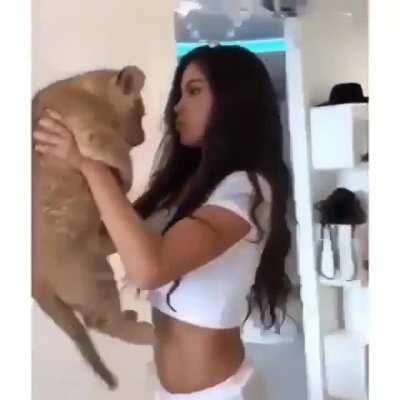 HMC while I channel Carole Baskin