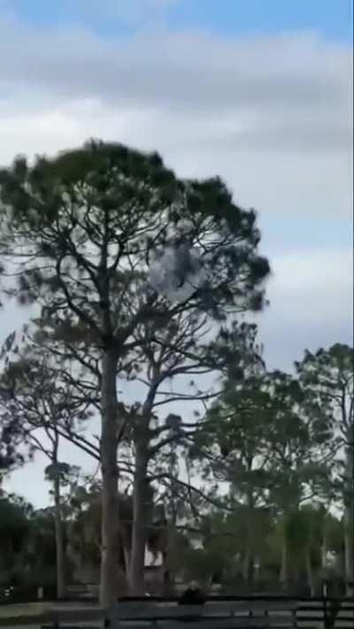 I mean it looks fun.