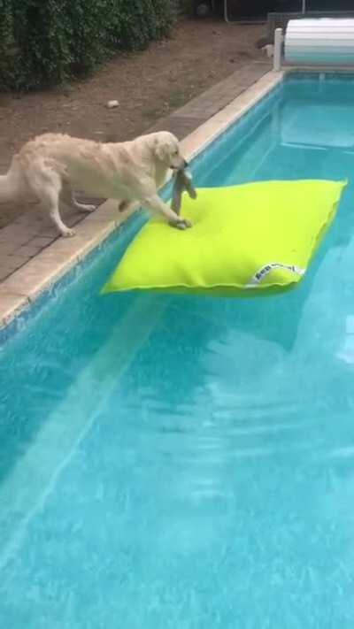 Just wanna float without getting wet