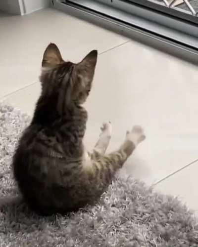 Little baby spreadies!