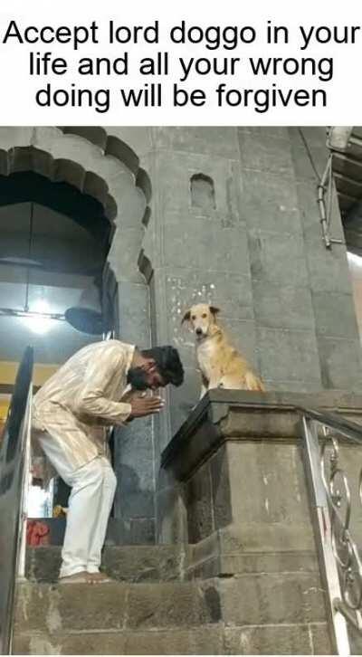 All Hail lord doggo