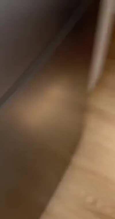 Magic can, summons a black cat that gives bad luck to enemies