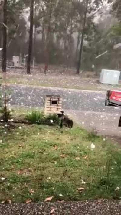 Hail storm Springfield Lakes 31/10/2020. House is destroyed but my family survived.