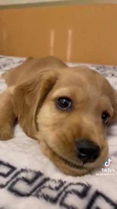 Complains 😂😂😂