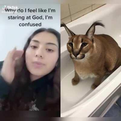 why is he so perfect...