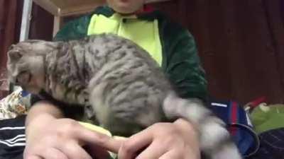 I'm just gonna sneak on to your lap here