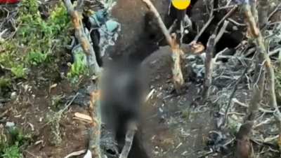 Cornered Ukrainian soldier fights off two russian assault troopers in his trench. Archive footage.