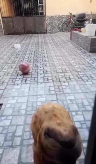 What the f- nevermind