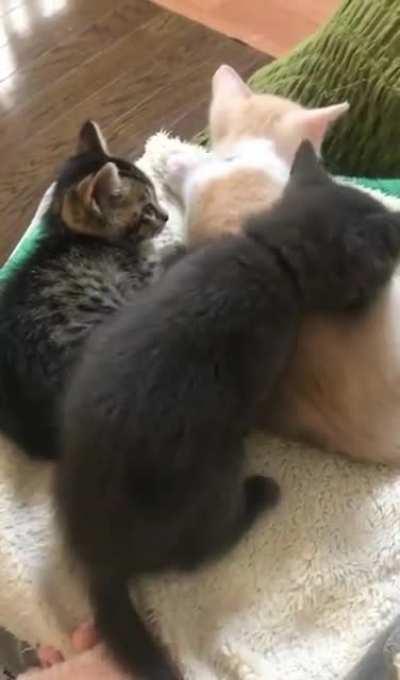 to squeeze in between