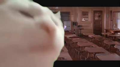 meme songs always turn out to be such bangers