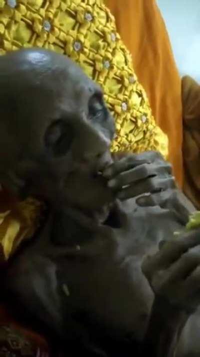 Luang Pho Yai. 109 year old buddhist monk from Thailand