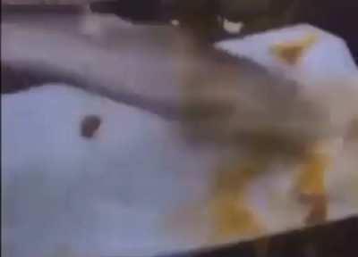 Goodness gracious, golly gosh