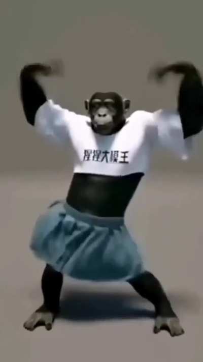 Macaco kpoper