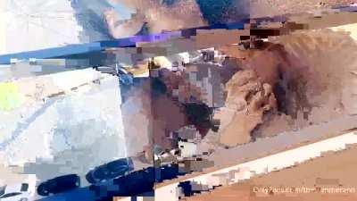 Summer Tiiiiimmmeeee😈