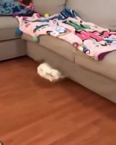 To jump on the couch