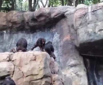 Mama monkey teaches her child a lesson after tossing stones at humans