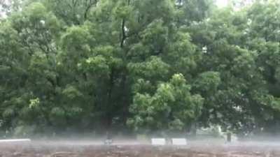 I'm happy my community garden plot is getting a much needed water today (: