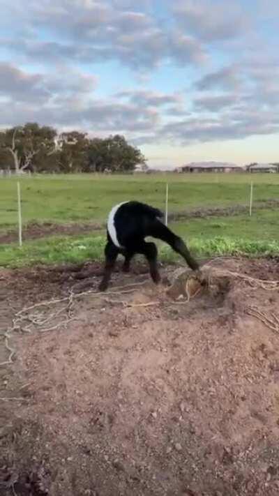 Happiness overload 😍