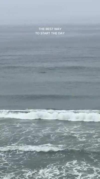 Sydney starting her day by enjoying the view in San Diego (April 2023)