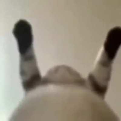 Alguem tem o link rapaziada ? 😈🥵