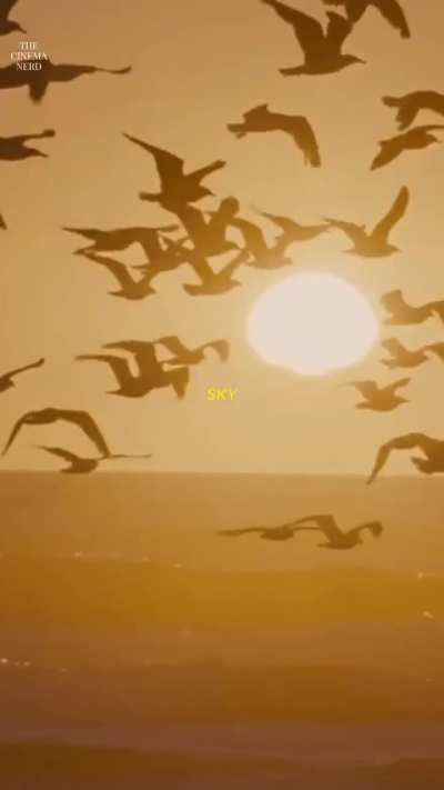 The desire to disappear 