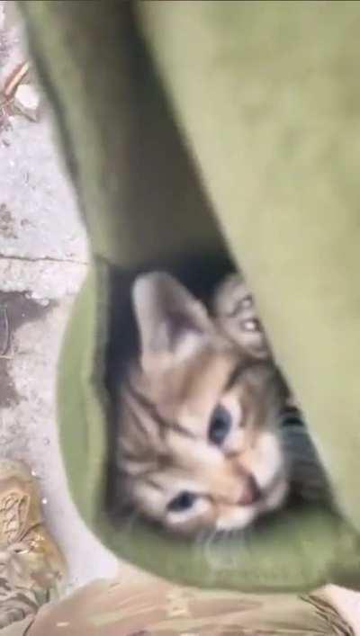 Ukrainian soldier finds surprise in his jacket.