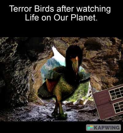 No, Phorusrachids did NOT go extinct due to big cats and mammals.