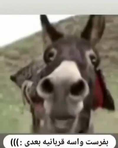 😂♥️♥️♥️♥️