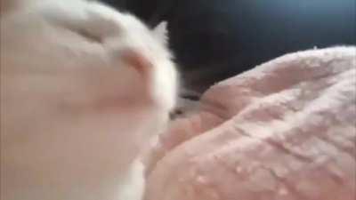 The EP boss theme is fantastic