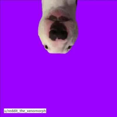 le walter of life has arrived