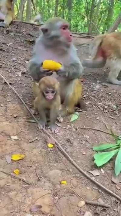 to accept some food from a stranger