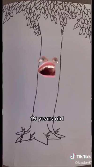 The giving tree looks a little different here