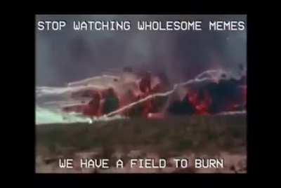 Stop watching wholesome memes, we have a field to burn