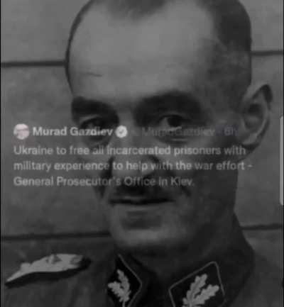 Dirlekraine ❗️❓️