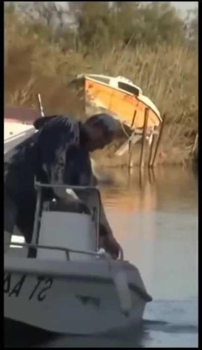 I would love to see him chase down the seagull