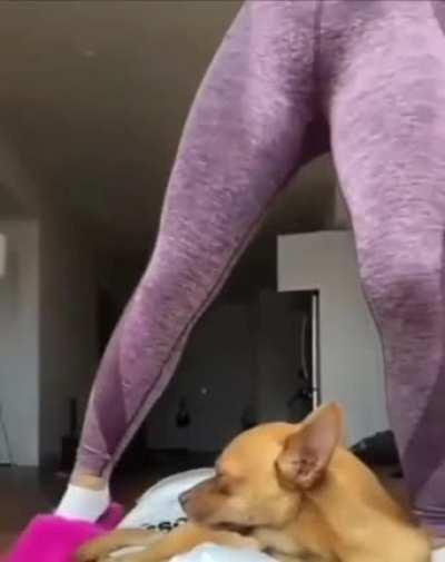 yoga