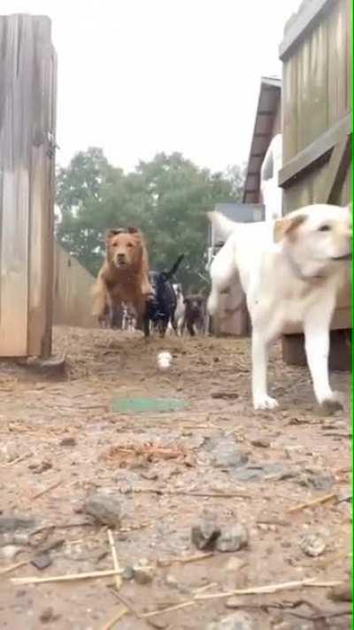 It's A Miracle, I Say! A Miracle!