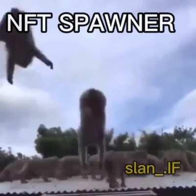 ntf