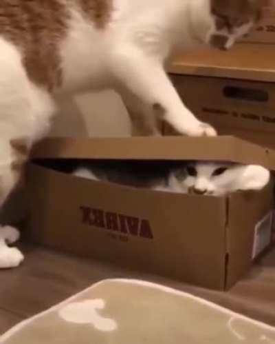 You must fits so I can sits