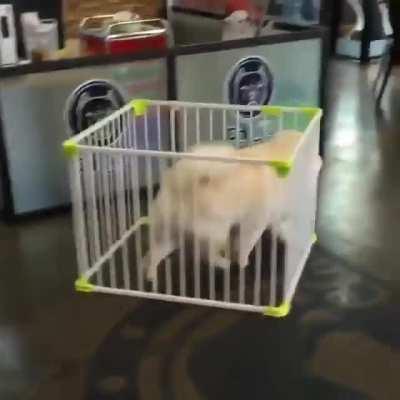 Nothing can stop me.